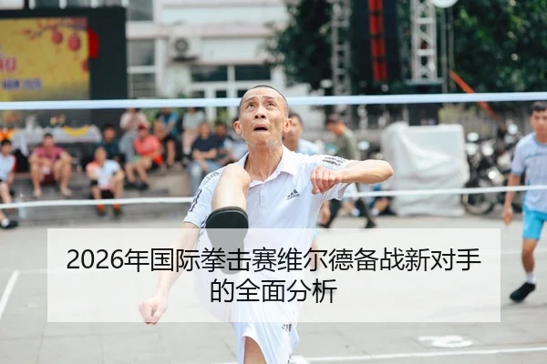2026年国际拳击赛维尔德备战新对手的全面分析