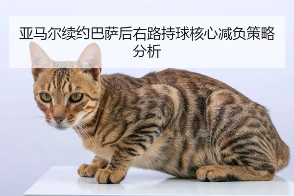 ya-ma-er-xu-yue-ba-sa-hou-you-lu-chi-qiu-he-xin-jian-fu-ce-lve-fen-xi-2-448.jpg