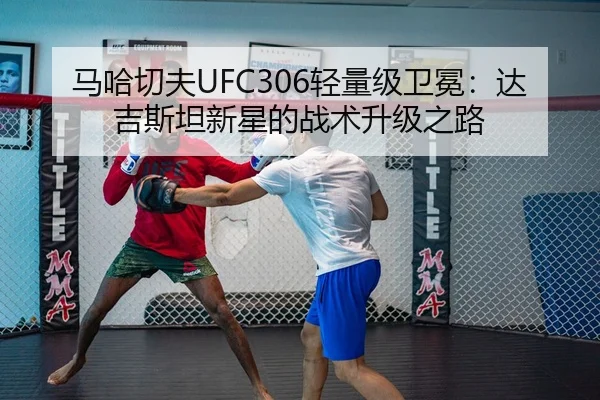 马哈切夫UFC306轻量级卫冕：达吉斯坦新星的战术升级之路